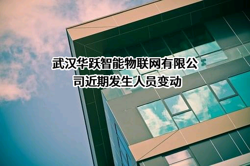 武汉华跃智能物联网有限公司