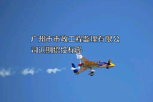 广州市市政工程监理有限公司