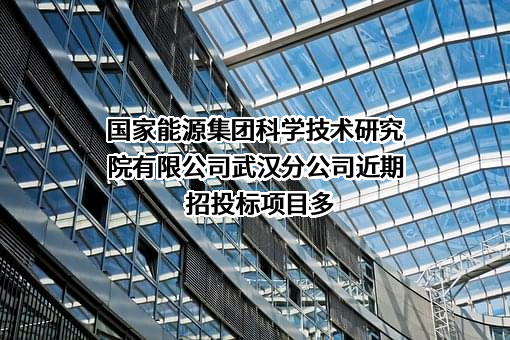 国家能源集团科学技术研究院有限公司武汉分公司