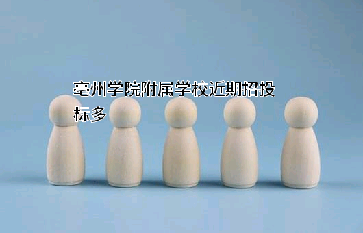 亳州学院附属学校