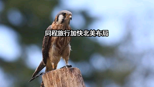 同程网络科技股份有限公司
