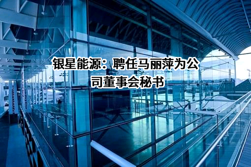 宁夏银星能源股份有限公司