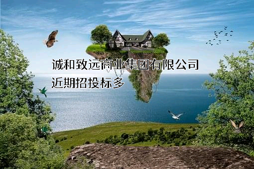 诚和致远商业集团有限公司