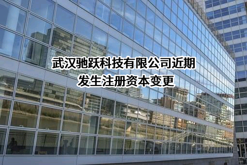 武汉驰跃科技有限公司