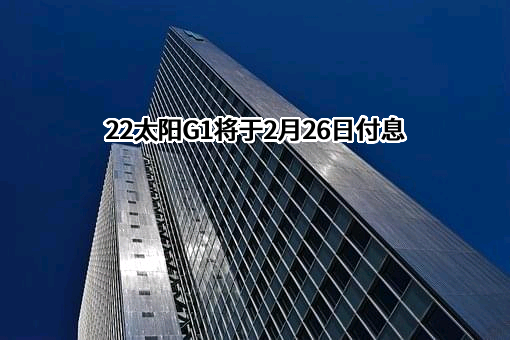 中节能太阳能股份有限公司