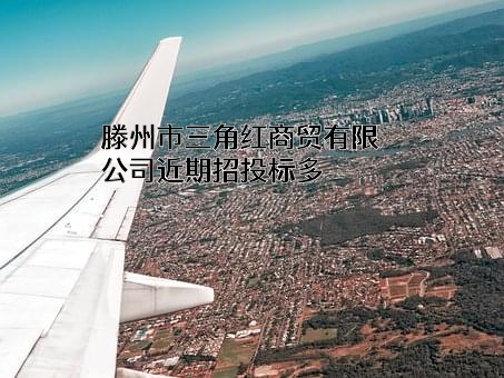 滕州市三角红商贸有限公司