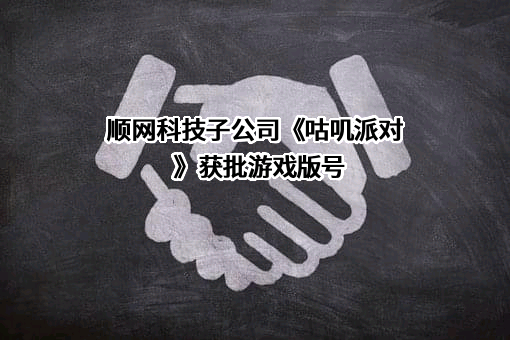 杭州顺网科技股份有限公司
