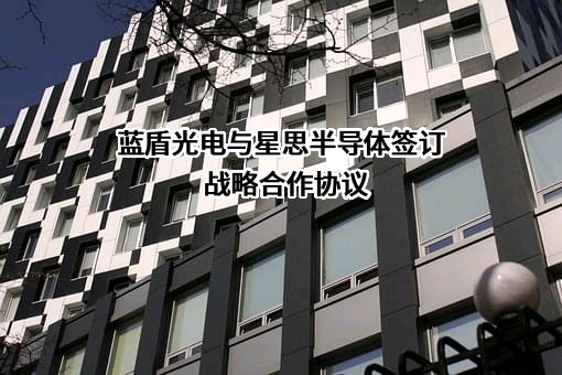 安徽蓝盾光电子股份有限公司