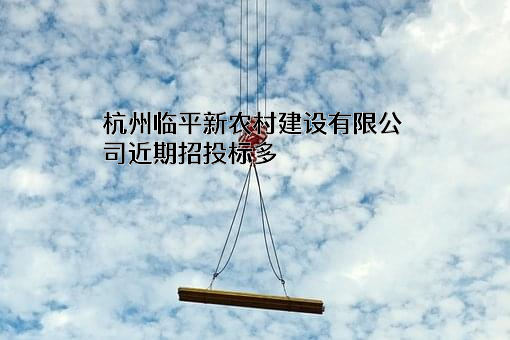 杭州临平新农村建设有限公司
