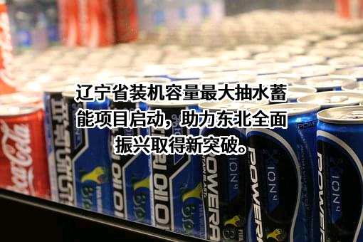 金开新能源股份有限公司