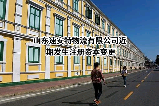 山东速安特物流有限公司