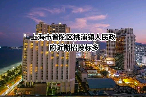 上海市普陀区桃浦镇人民政府