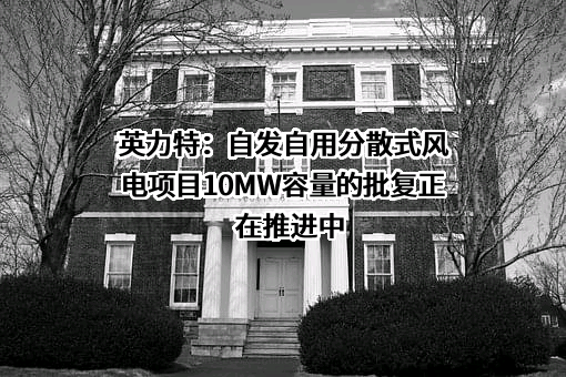 宁夏英力特化工股份有限公司