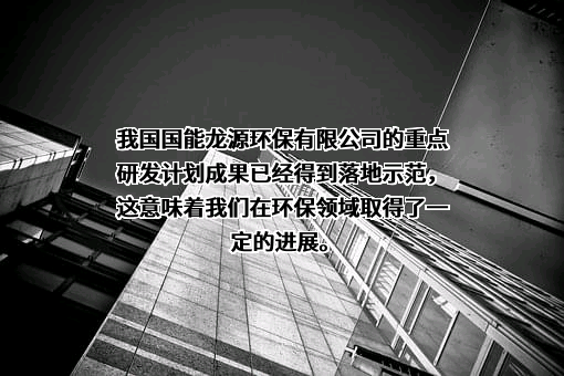 国能龙源环保有限公司