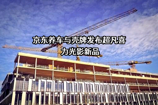 壳牌（中国）有限公司