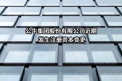 公牛集团股份有限公司
