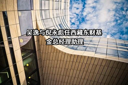 西藏东财基金管理有限公司