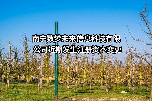南宁数梦未来信息科技有限公司