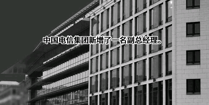 中国电信集团有限公司