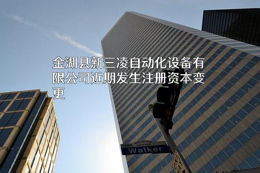 金湖县新三凌自动化设备有限公司