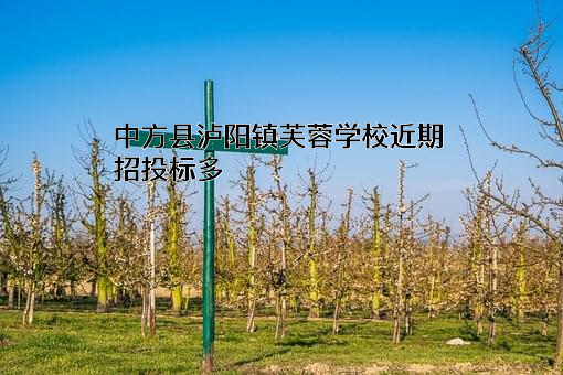 中方县泸阳镇芙蓉学校近期招投标项目多