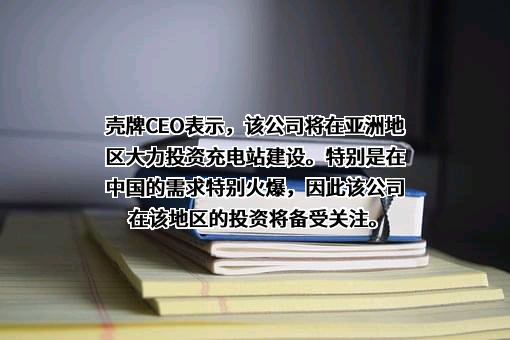 壳牌（中国）有限公司