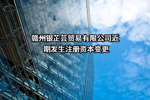 赣州银芷芸贸易有限公司