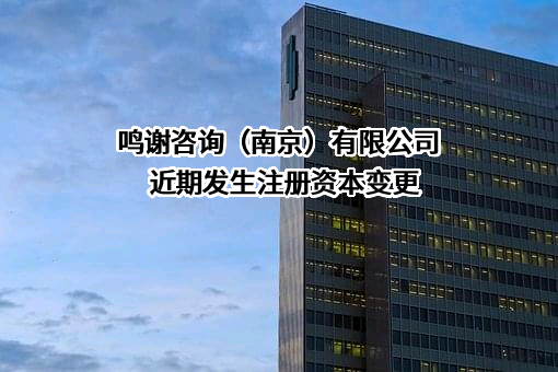 鸣谢咨询（南京）有限公司