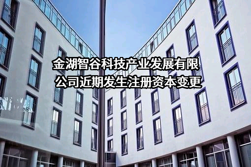 金湖智谷科技产业发展有限公司