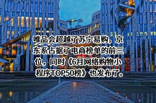 苏宁易购集团股份有限公司
