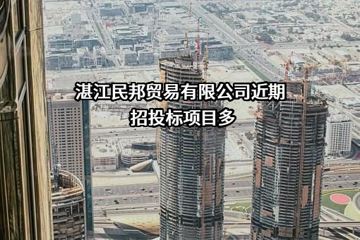 湛江民邦贸易有限公司近期招投标项目多