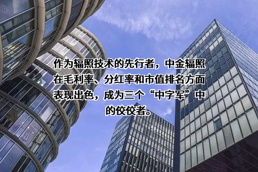 中金辐照股份有限公司