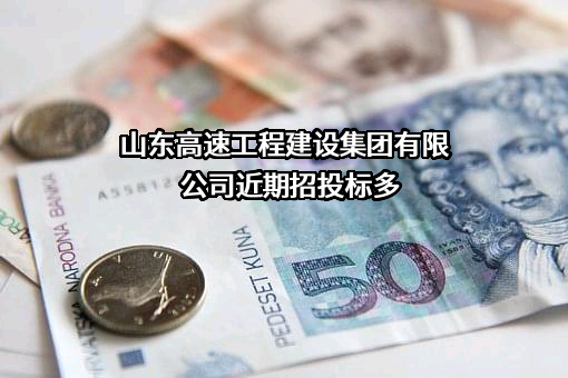 山东高速工程建设集团有限公司