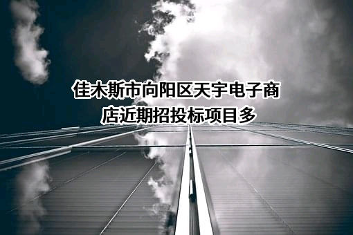 佳木斯市向阳区天宇电子商店
