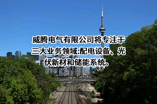 威腾电气集团股份有限公司