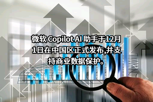 微软（中国）有限公司