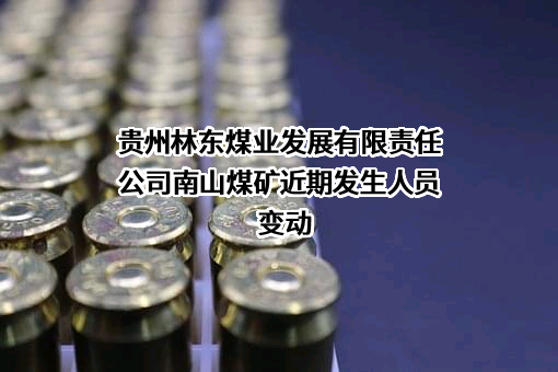 贵州林东煤业发展有限责任公司南山煤矿