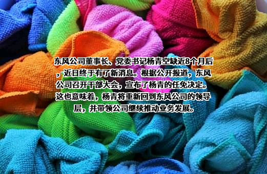 深圳东风汽车有限公司
