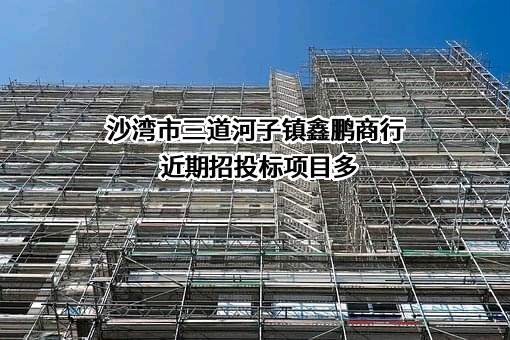 沙湾市三道河子镇鑫鹏商行近期招投标项目多