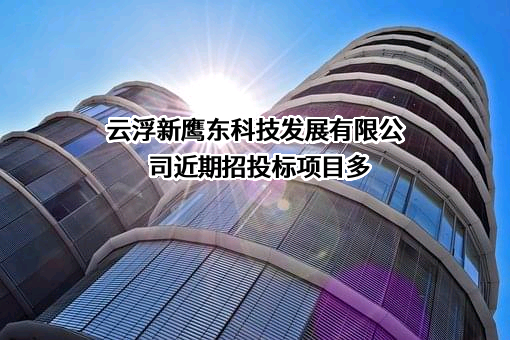 云浮新鹰东科技发展有限公司
