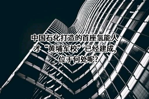 中国石油化工集团有限公司