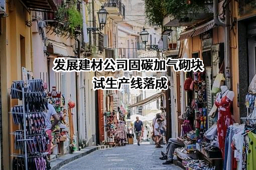 深圳新绿碳和科技（集团）有限公司