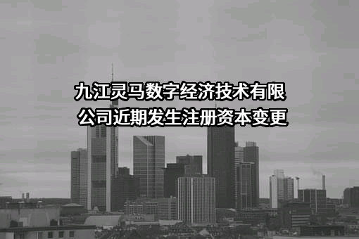 九江灵马数字经济技术有限公司