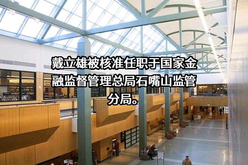 石嘴山市大武口石银村镇银行股份有限公司