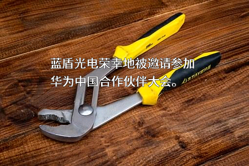 安徽蓝盾光电子股份有限公司