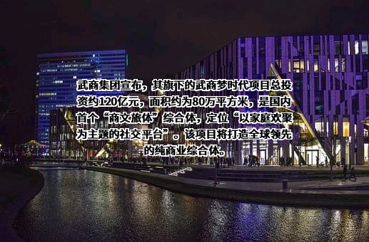 武商集团股份有限公司