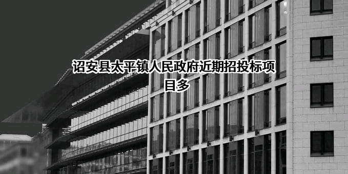 诏安县太平镇人民政府近期招投标项目多