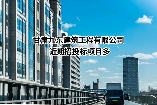 甘肃九东建筑工程有限公司