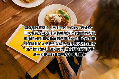 北京同有飞骥科技股份有限公司