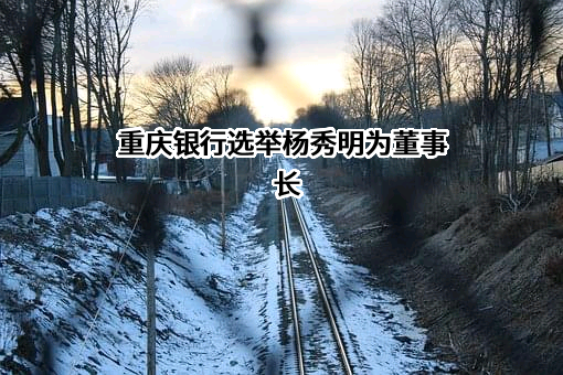 重庆银行股份有限公司